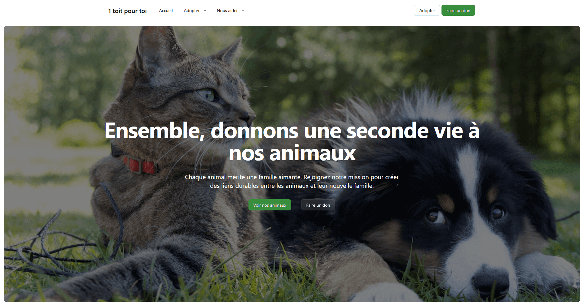 Accueil du site web de l'Association 1 toit pour toi