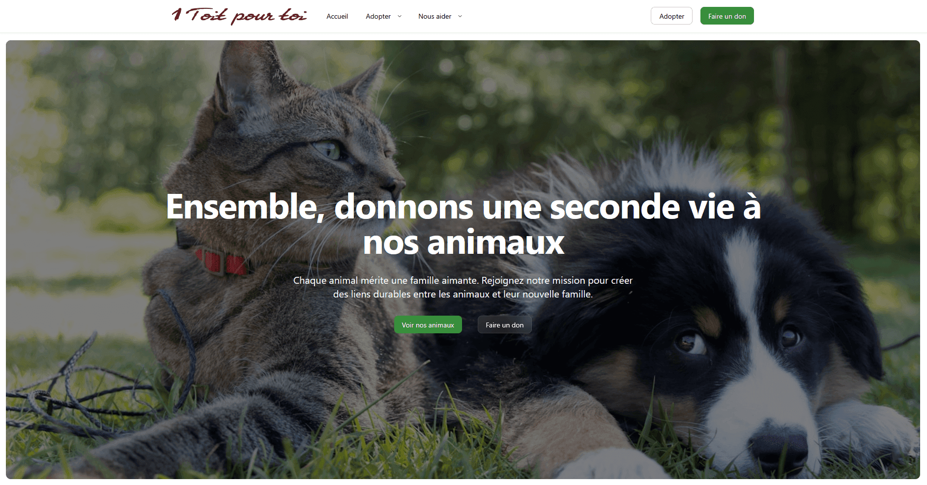 Accueil du site web de l'Association 1 toit pour toi